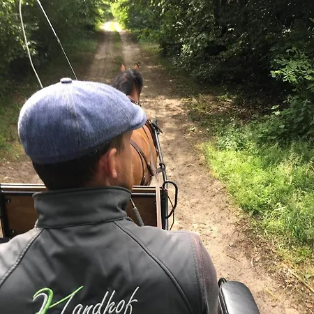 Tatil Evi Landhof Kuetzin 4 Meise *