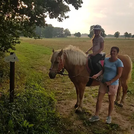 Tatil Evi Landhof Kuetzin 4 Meise *